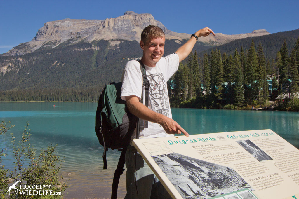 what does it cost for guided hike burgess shale