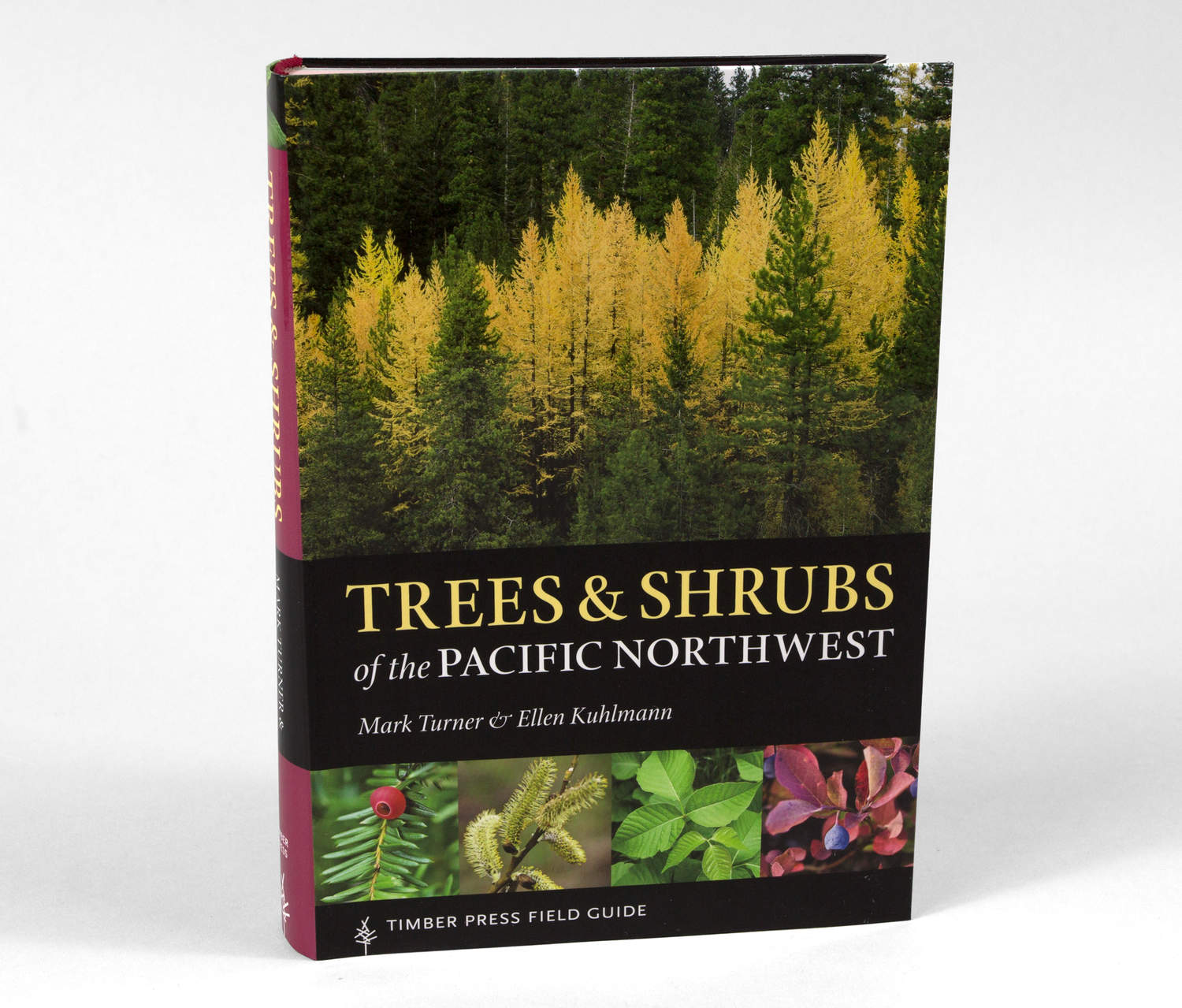native woody plant seed collection guide for british columbia